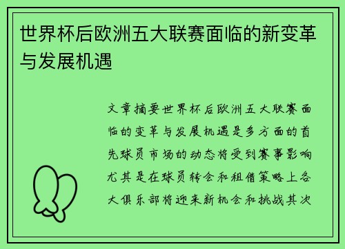 世界杯后欧洲五大联赛面临的新变革与发展机遇