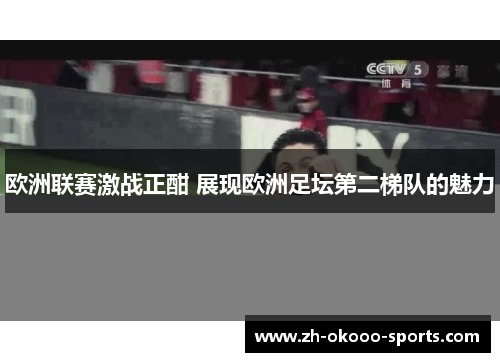 欧洲联赛激战正酣 展现欧洲足坛第二梯队的魅力