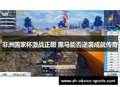 非洲国家杯激战正酣 黑马能否逆袭成就传奇