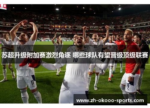 苏超升级附加赛激烈角逐 哪些球队有望晋级顶级联赛