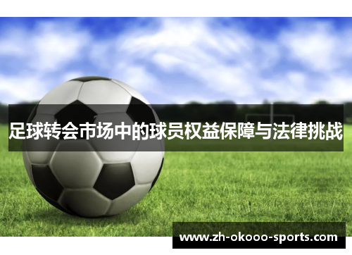 足球转会市场中的球员权益保障与法律挑战